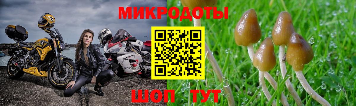 Грозный  Псилоцибиновые грибы Psilocybine cubensis  Псилоцибиновые грибы мицелий  Вход с VPN 