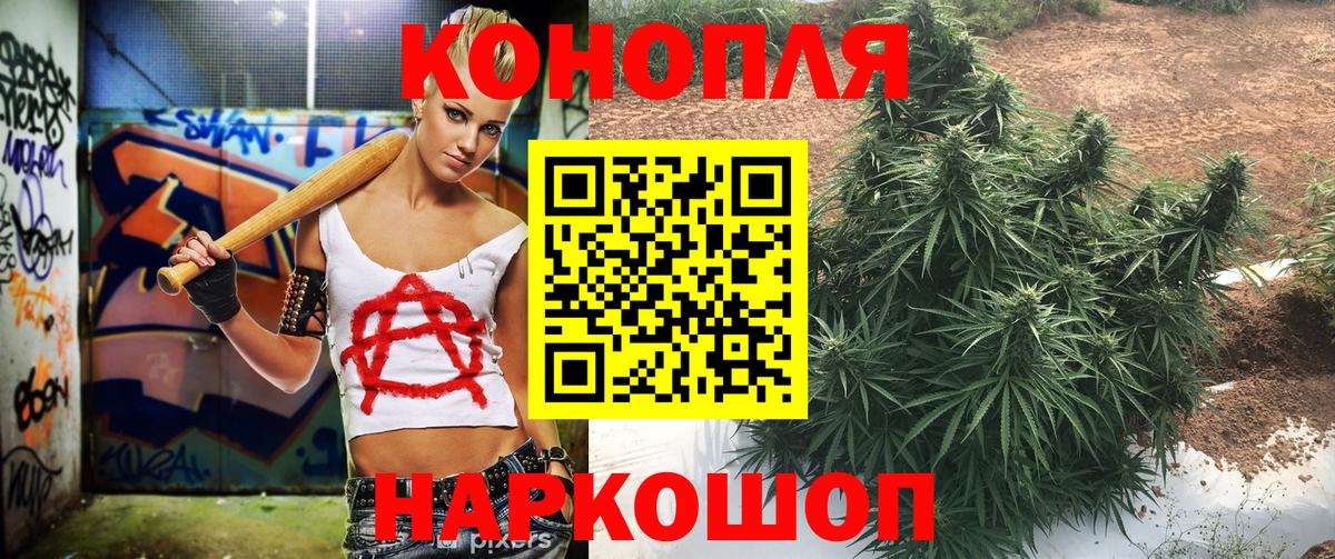 Конопля Ganja  Вход с VPN  Канабис план  Грозный  Шишки марихуана план 